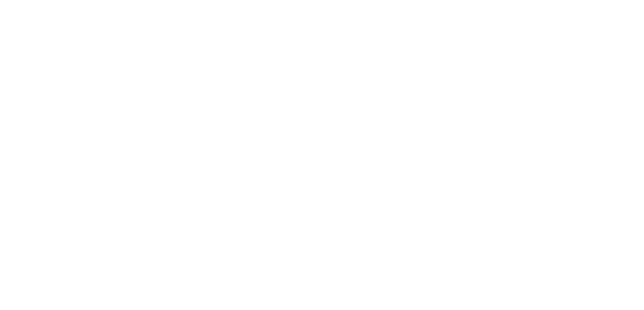 100% Immo